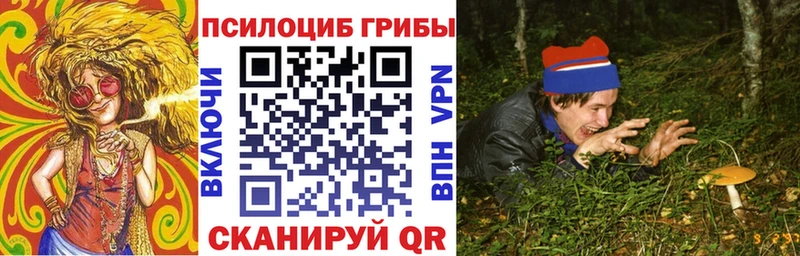 Купить где  Новый Уренгой  Галлюциногенные грибы прущие грибы 